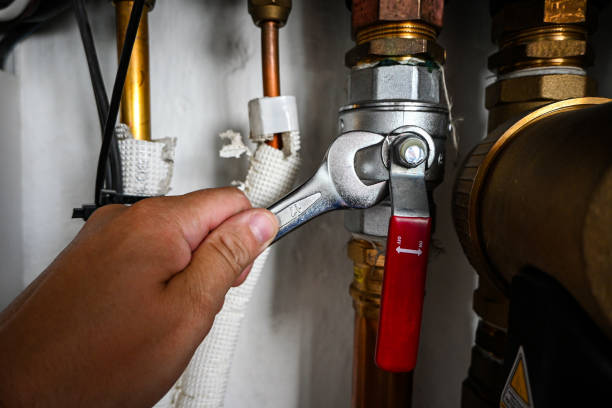 Best Clogged Drain Plumber  in Sho Creek, AL